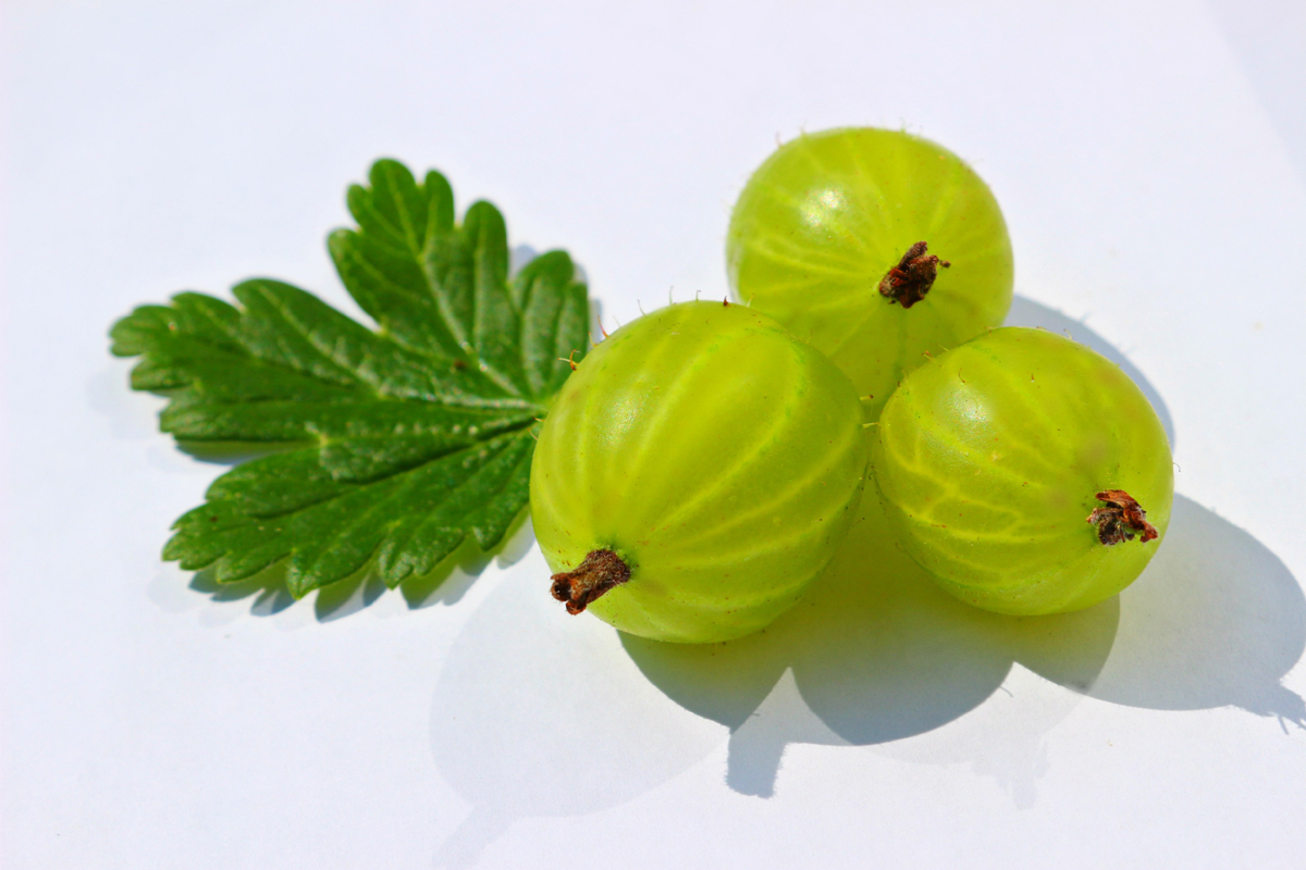 Gorgeous Hair with Gooseberries
