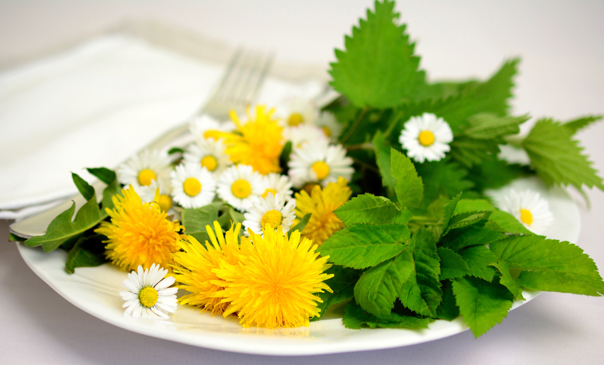 Healthy Herbal Salads
