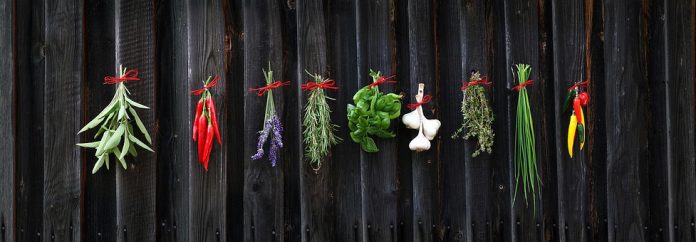Freezing and Drying Techniques to Preserve Fresh Herbs