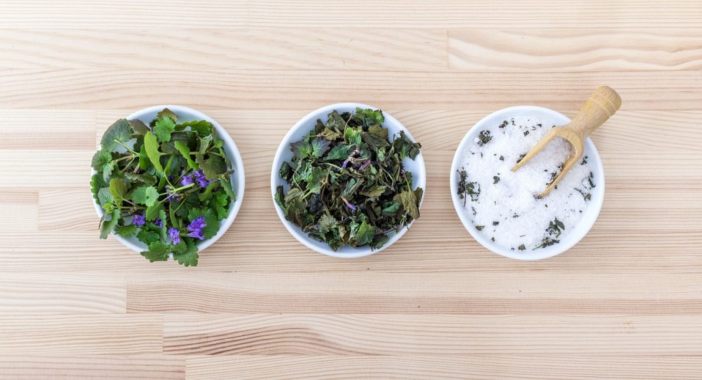 Basic Herbalism, Using Herbs and Spices