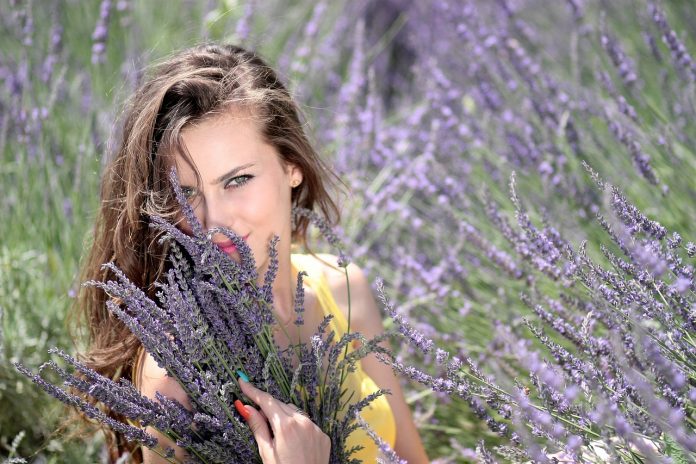 Lavender as a Natural Remedy: A Comprehensive Guide to its Health Benefits and Uses