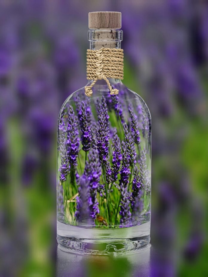 Lavender Essential Oil Benefits for Hair