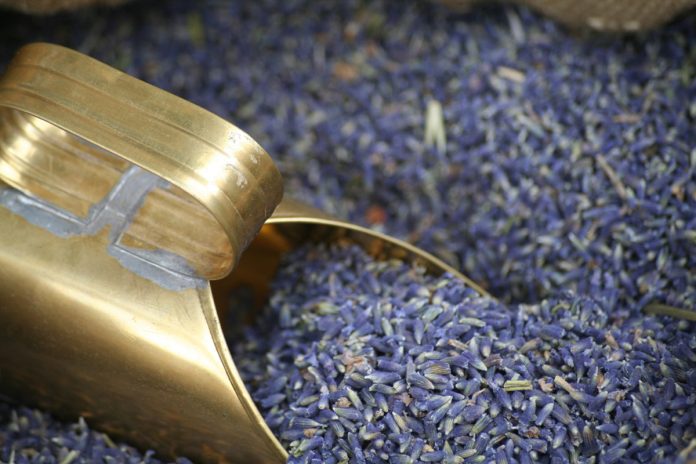 Uses of Dried Lavender Flowers