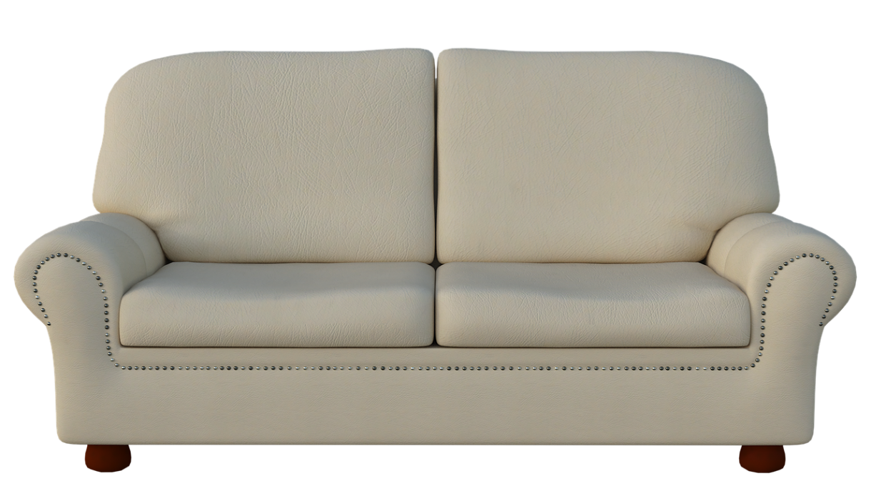A Clean Leather Sofa in Four Easy Steps