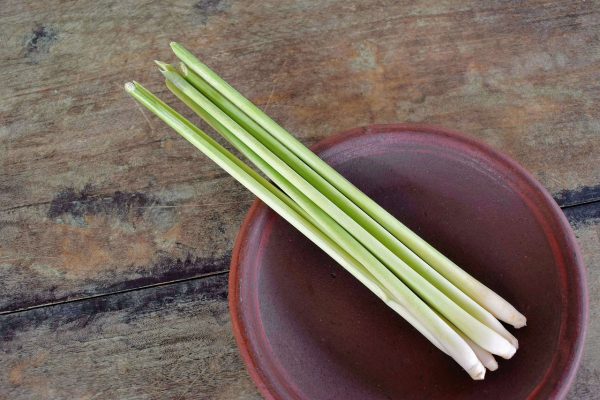 Lemongrass Essential Oil and Its Benefits