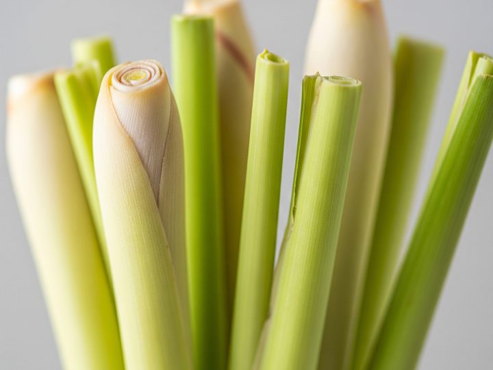 Lemongrass Oil and Its Uses