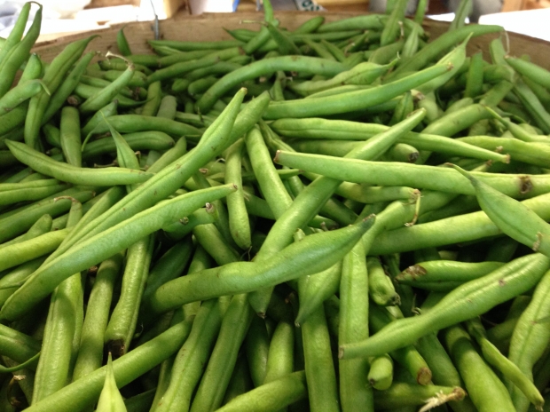 Storing & Freezing Green Beans Types