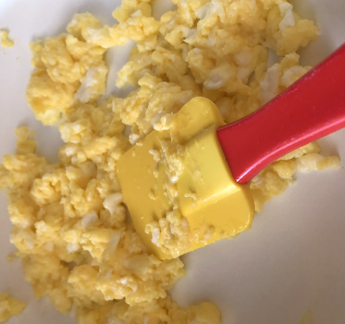 Simple Egg Diets for Dogs