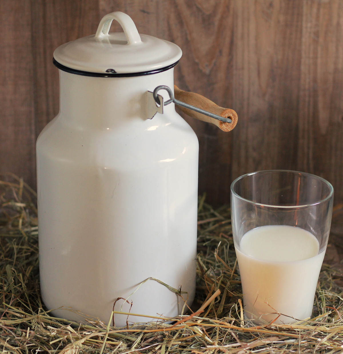 The Raw Milk Cure