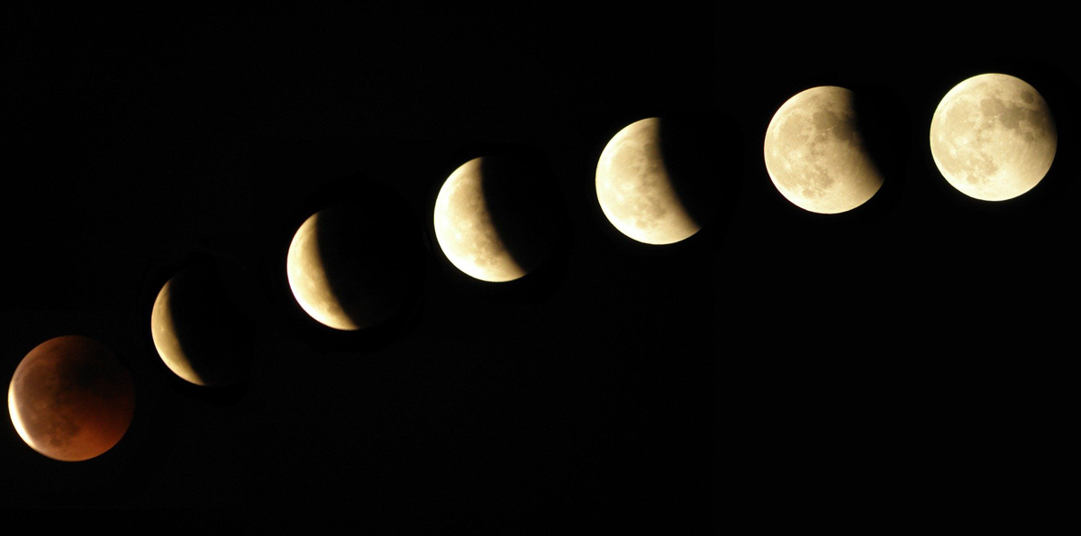 Gardening by The Phases of The Moon
