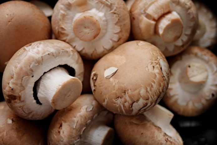 Are Mushrooms Really a Good Source of Vitamin D?