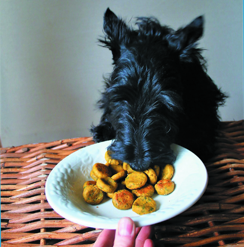 Treat Your Pup to Healthy Homemade Biscuits