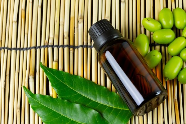 Neem Oil – A Valuable Pesticide and Insecticide