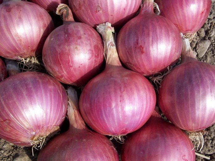 The Many Health Benefits of Red Onion