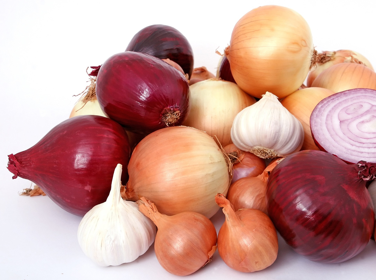 The Humble Onion: A Guide for Creative Cooks