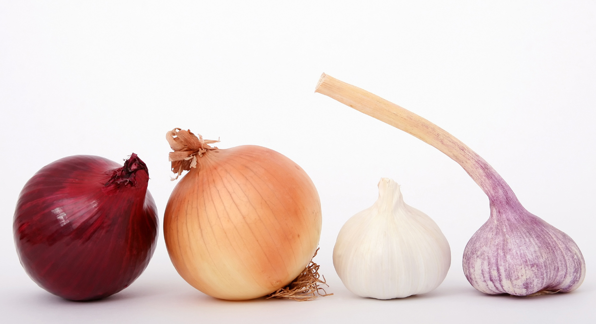 Garlic and Onion for Hair Loss Remedy