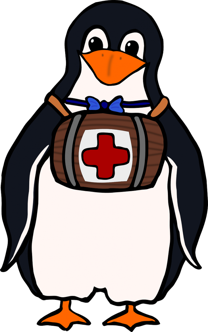 Eat a Penguin: Health, Healing and Curing