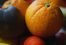 Citron, Orange and Other Citrus Houseplants