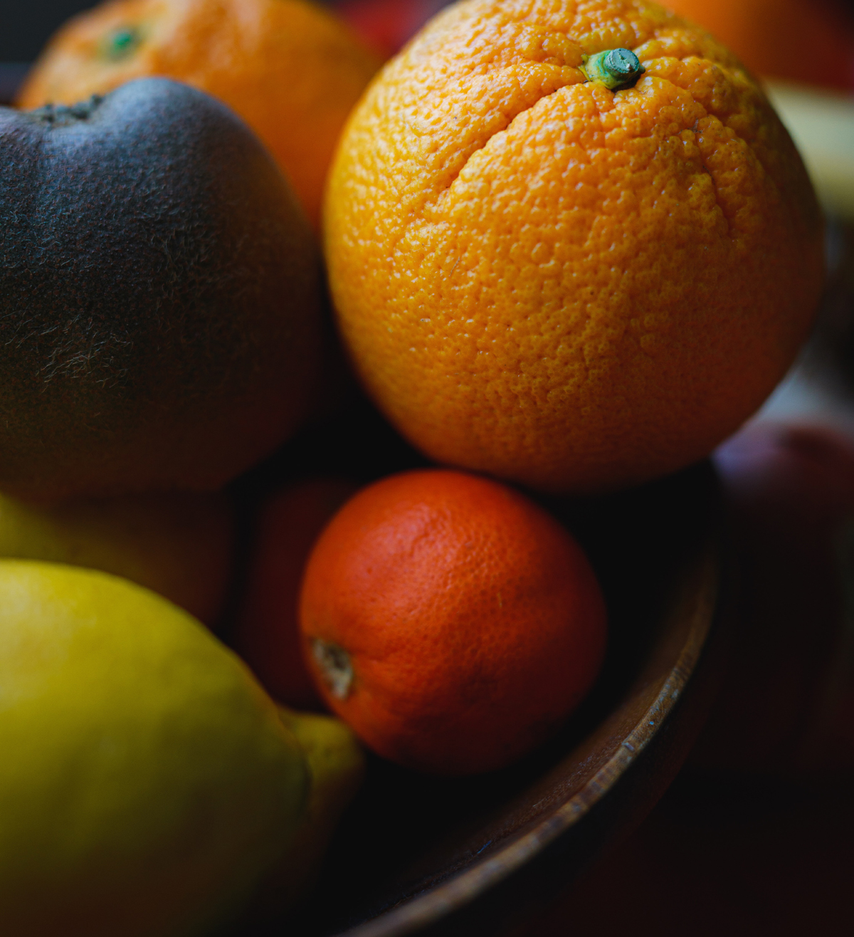 Citron, Orange and Other Citrus Houseplants