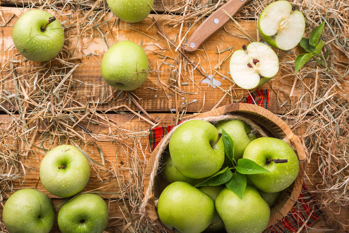 The Real Granny Smith – A Passion for Apples