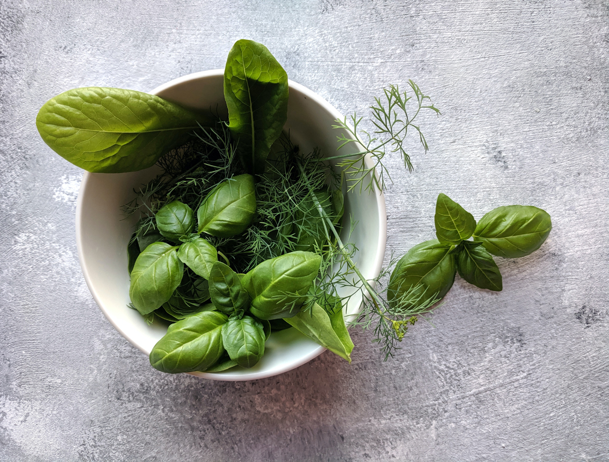 Freezing Herbs – Create Bouquet Garni Paste for Fresh Flavor