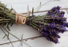 Consider Growing These Healing Herbs Growing Healing Herbs