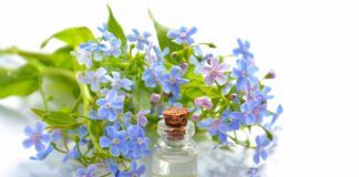12 Essential Oils for ADHD and ADD
