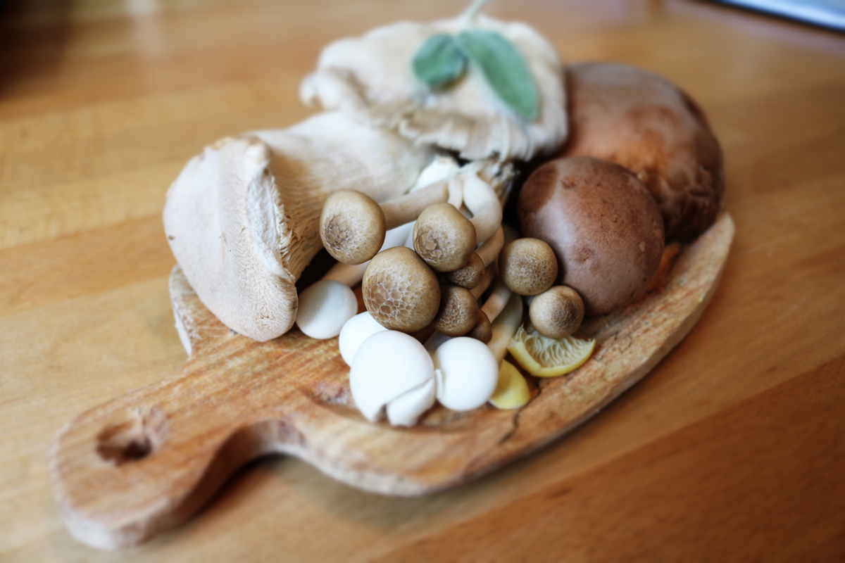 To Shroom or Not to Shroom – Know Your Mushrooms