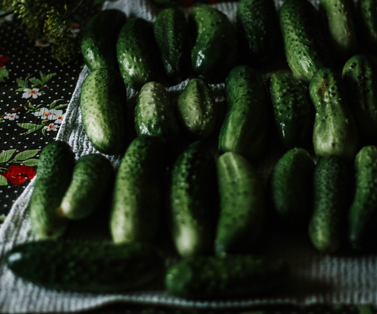 Homemade Pickles and Preserves – Basics You Should Know
