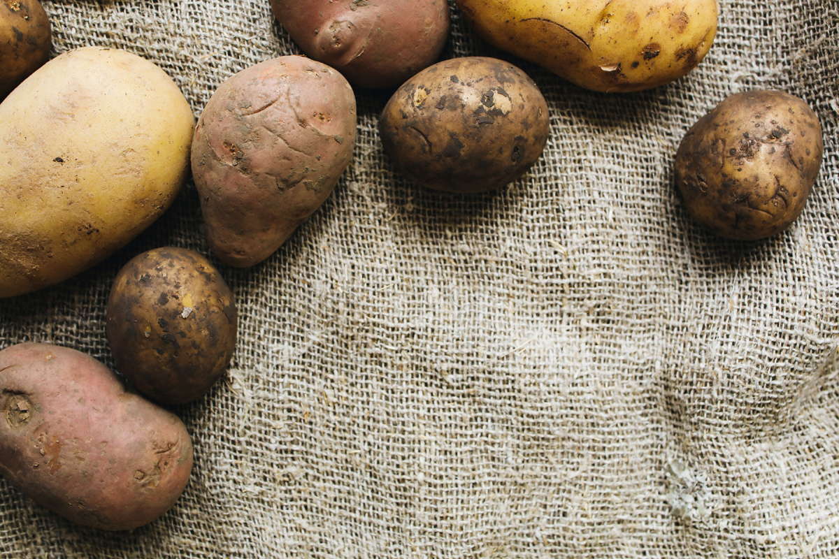 Why Not Grow Potatoes in Bags? It’s So Easy