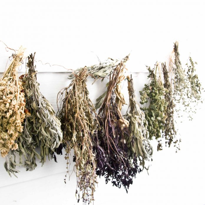 Your Quick Guide to Storing and Drying Herbs