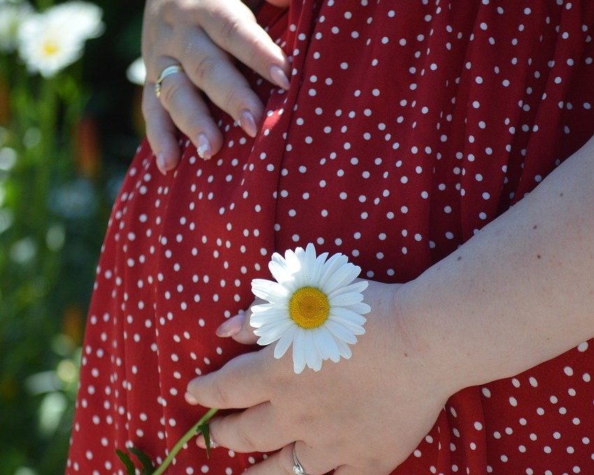 Herbs and Teas Pregnant Women Should Avoid for a Safe Pregnancy