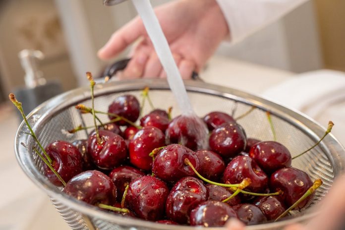 How to Preserve Fresh Sweet Cherries for Healthy Snacking All Year
