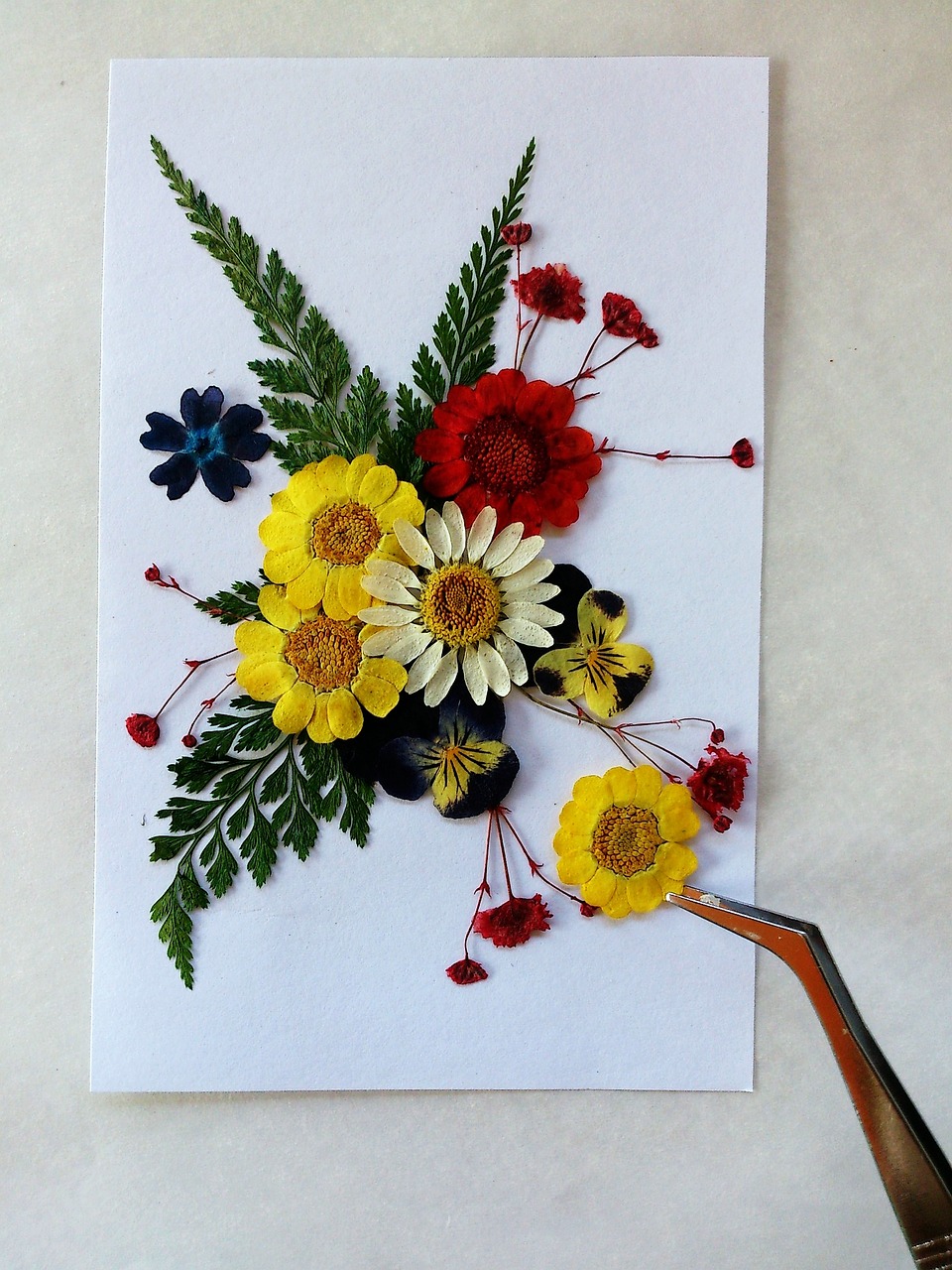 Pressed Flowers Note Cards