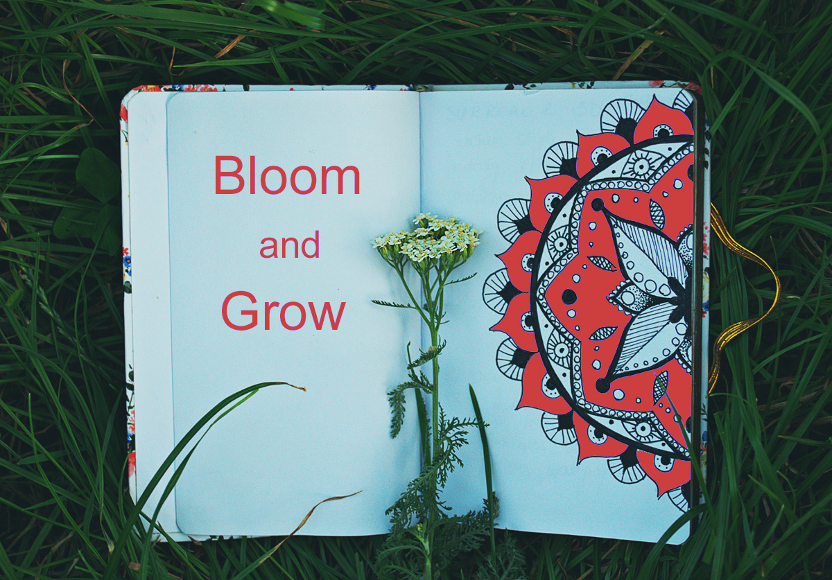 Growing Flowers for Fun or Profit