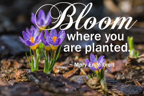 Bloom – Mary Engelbreit