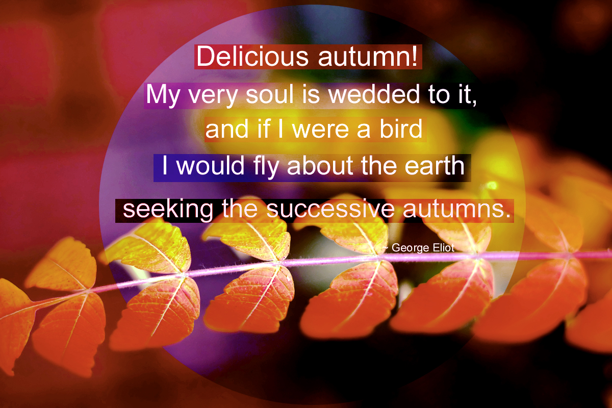 Delicious Autumn!