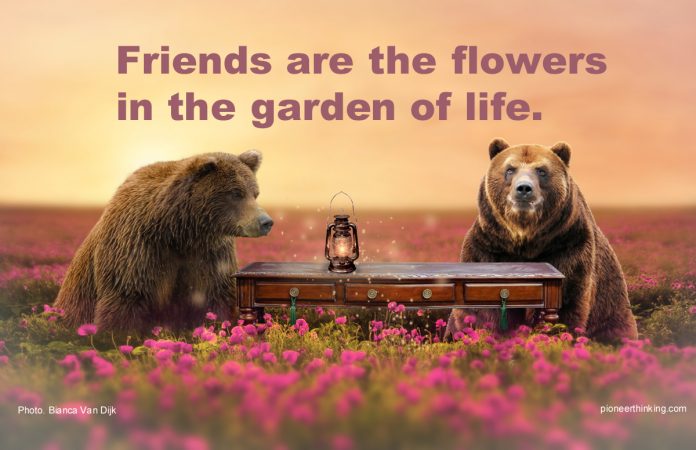 Friends Are The Flowers