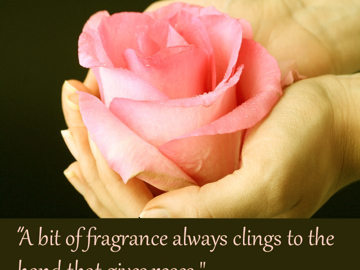 A Bit of Fragrance – Chinese Proverb