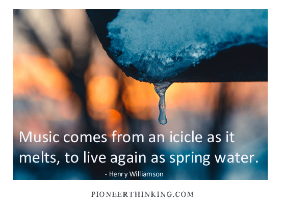 Music Comes from an Icicle – Henry Williamson
