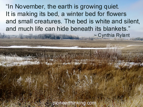 Cynthia Rylant Quotes