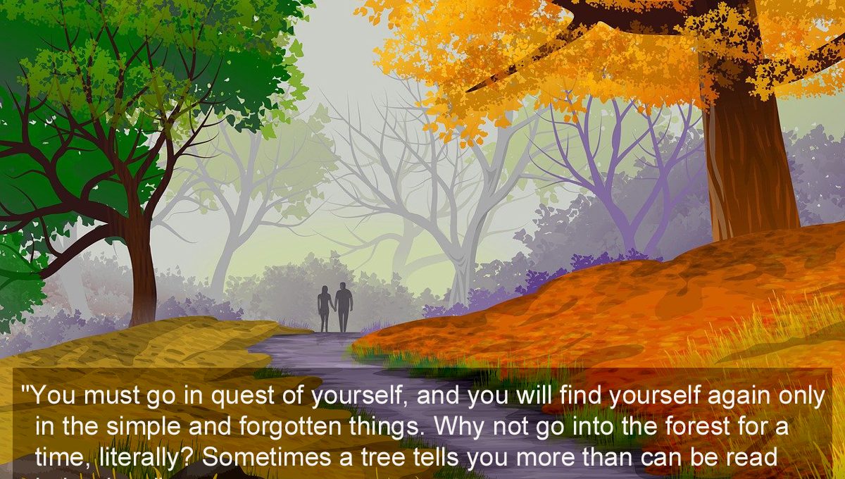 You Must Go in Quest of Yourself quote