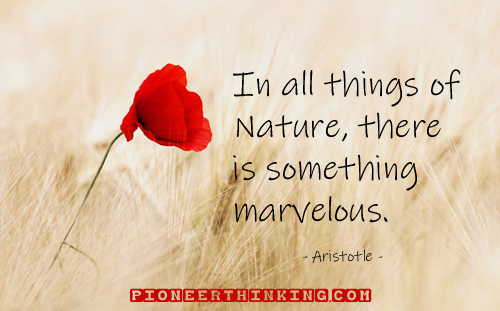 In All Things of Nature - Aristotle