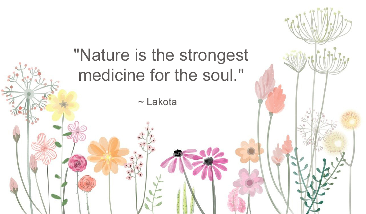 Medicine for The Soul quote