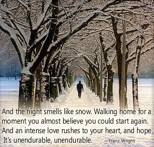 The Night Smells Like Snow - Franz Wright