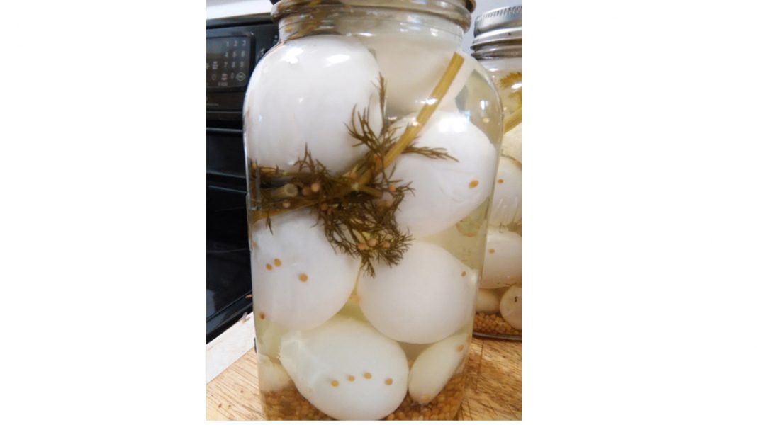Dill Pickled Eggs