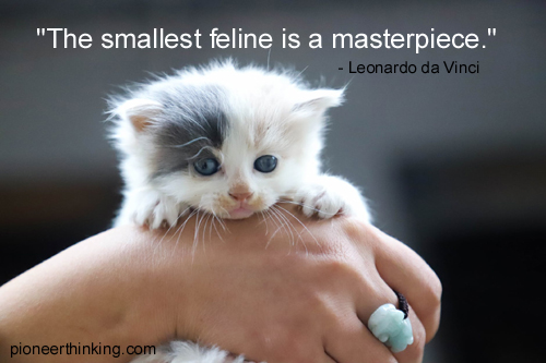 Smallest Feline - Leonardo da Vinci