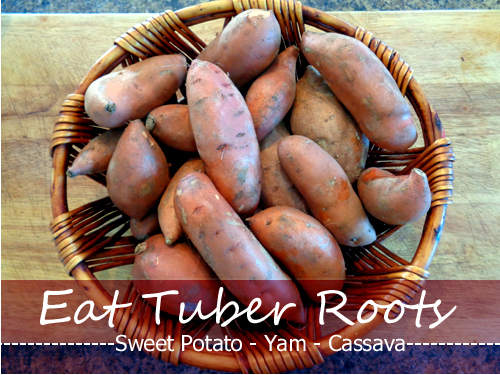 Sweet Potato, Yam and Cassava
