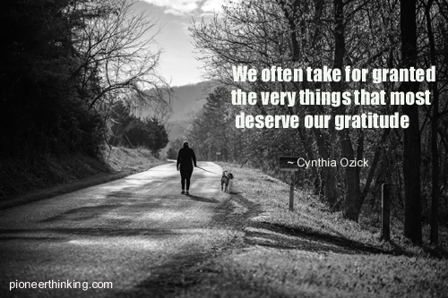 Take for Granted – Cynthia Ozick