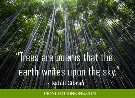 Trees are Poems – Kahlil Gibran